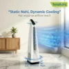 Surri-WHT-Oscillation
